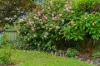 282 Port Elliot Road, Hayborough, SA 5211-Image
