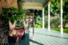 283 Roses Road, Bellingen, NSW 2454-Image