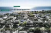 283 St Kilda Street, Brighton, Vic 3186