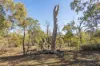 2839 Jurien Road, Hill River, WA 6521-Image