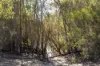 2839 Jurien Road, Hill River, WA 6521-Image