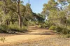 2839 Jurien Road, Hill River, WA 6521-Image