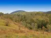 284 Day Avenue, Omeo, Vic 3898-Image