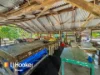 284 Richmond Road, Bowen, Qld 4805-Image