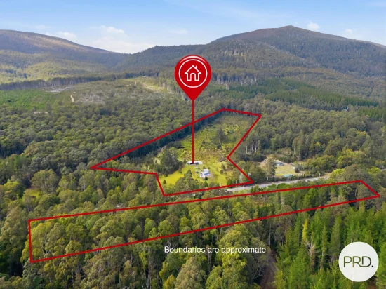 2847 Gordon River Road, Tyenna, Tas 7140