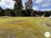 2847 Gordon River Road, Tyenna, Tas 7140-Image