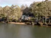 285 Bradys Lake Road, Bradys Lake, Tas 7140-Image