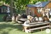 285 Collinsvale Road, Collinsvale, Tas 7012-Image