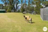 285 Collinsvale Road, Collinsvale, Tas 7012-Image