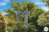 285 Collinsvale Road, Collinsvale, Tas 7012-Image