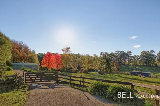 285 Macclesfield Road, Macclesfield, Vic 3782
