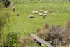 286 Ti Tree Road (adj Meadows), McHarg Creek, SA 5157-Image