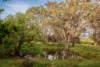287 Mahon Lane, Osbornes Flat, Vic 3691-Image