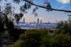 289 Belair Road, Torrens Park, SA 5062-Image