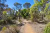 289 Esplanade, Coffin Bay, SA 5607-Image