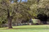289 Harpers Road, Woodend, Vic 3442-Image