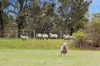 289 Harpers Road, Woodend, Vic 3442-Image