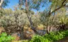 289 Lower Bathurst Street, Forbes, NSW 2871-Image