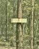 289  Mt Mulgowie Road, Mulgowie, Qld 4341