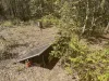 289  Mt Mulgowie Road, Mulgowie, Qld 4341-Image