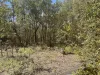 289  Mt Mulgowie Road, Mulgowie, Qld 4341-Image