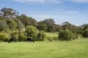 2894 Caves Road, Yallingup, WA 6282-Image