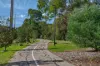 28a Birkalla Terrace, Plympton, SA 5038-Image