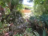 29-31 Queen Street, Chillagoe, Qld 4871-Image