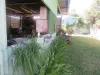 29-31 Queen Street, Chillagoe, Qld 4871-Image
