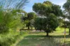 29/7 Durnin Avenue, Beeliar, WA 6164-Image