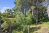 29 Albyn Terrace, Strathalbyn, SA 5255-Image