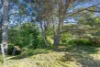 29 Albyn Terrace, Strathalbyn, SA 5255-Image