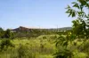 29 Archibald Crescent, Nirimba, Qld 4551-Image