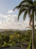 29 Arkana Drive, Noosa Heads, Qld 4567-Image
