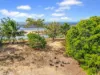 29 Batley Parade, Beach Holm QLD 4818-Image