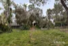 29 Beaconsfield Road, Briar Hill, Vic 3088-Image