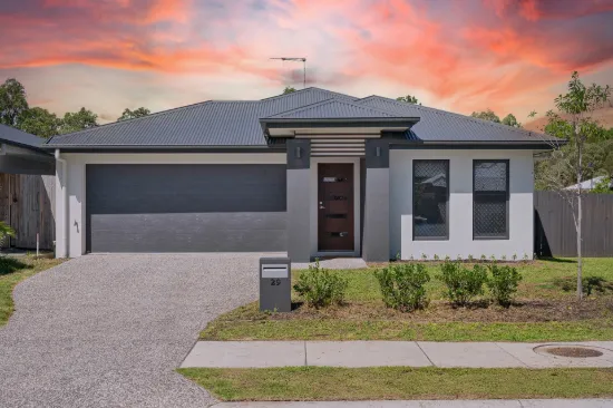 29 Birchwood Street, Park Ridge, Qld 4125