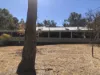 29 Blakes Lane, Elsmore, NSW 2360-Image