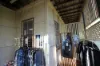 29 Blomfield Street, Miriam Vale, Qld 4677-Image