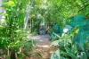29 Borella Circuit, Jingili, NT 0810-Image