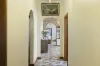 29 Brady Street, Croydon, NSW 2132-Image