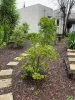 29 Button Street, Strathdale, Vic 3550-Image