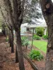 29 Button Street, Strathdale, Vic 3550-Image