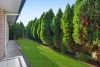 29 Cardwell Circuit, Thornlands, Qld 4164-Image
