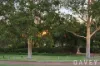 29 Carosa Road, Tapping, WA 6065-Image