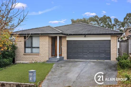 29 Cathedral Avenue, Minto, NSW 2566