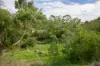 29 Claremont Crescent, Reservoir, Vic 3073-Image