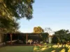 29 Correys Avenue, Concord, NSW 2137-Image