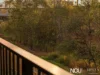 29 Dee Street, Deebing Heights, Qld 4306-Image