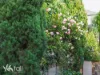 29 Devonshire Square, West Hobart, Tas 7000-Image